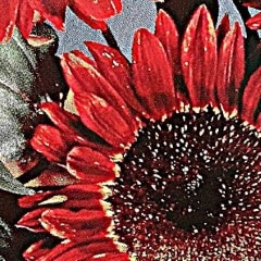 ruby red