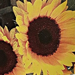 sunbright