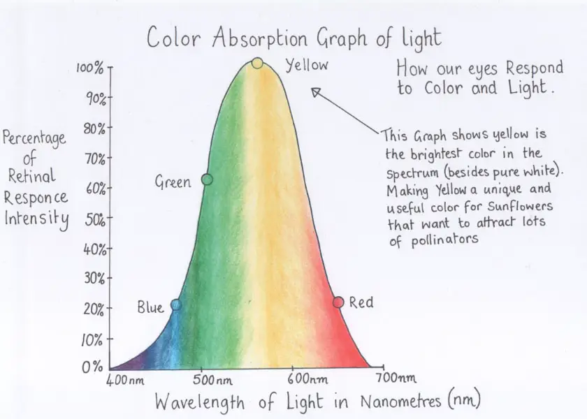 color absorption graph of light